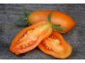 Семена томата Банан оранжевый (Гавриш)